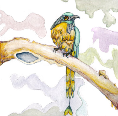 Bird Nine