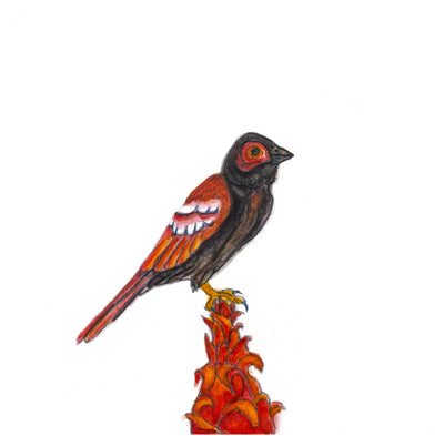 Bird Two