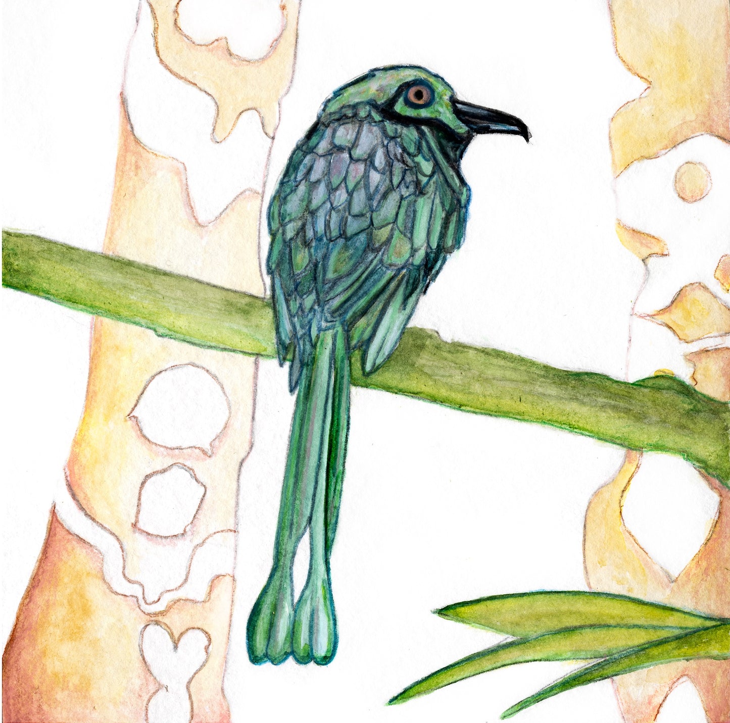 Bird 3