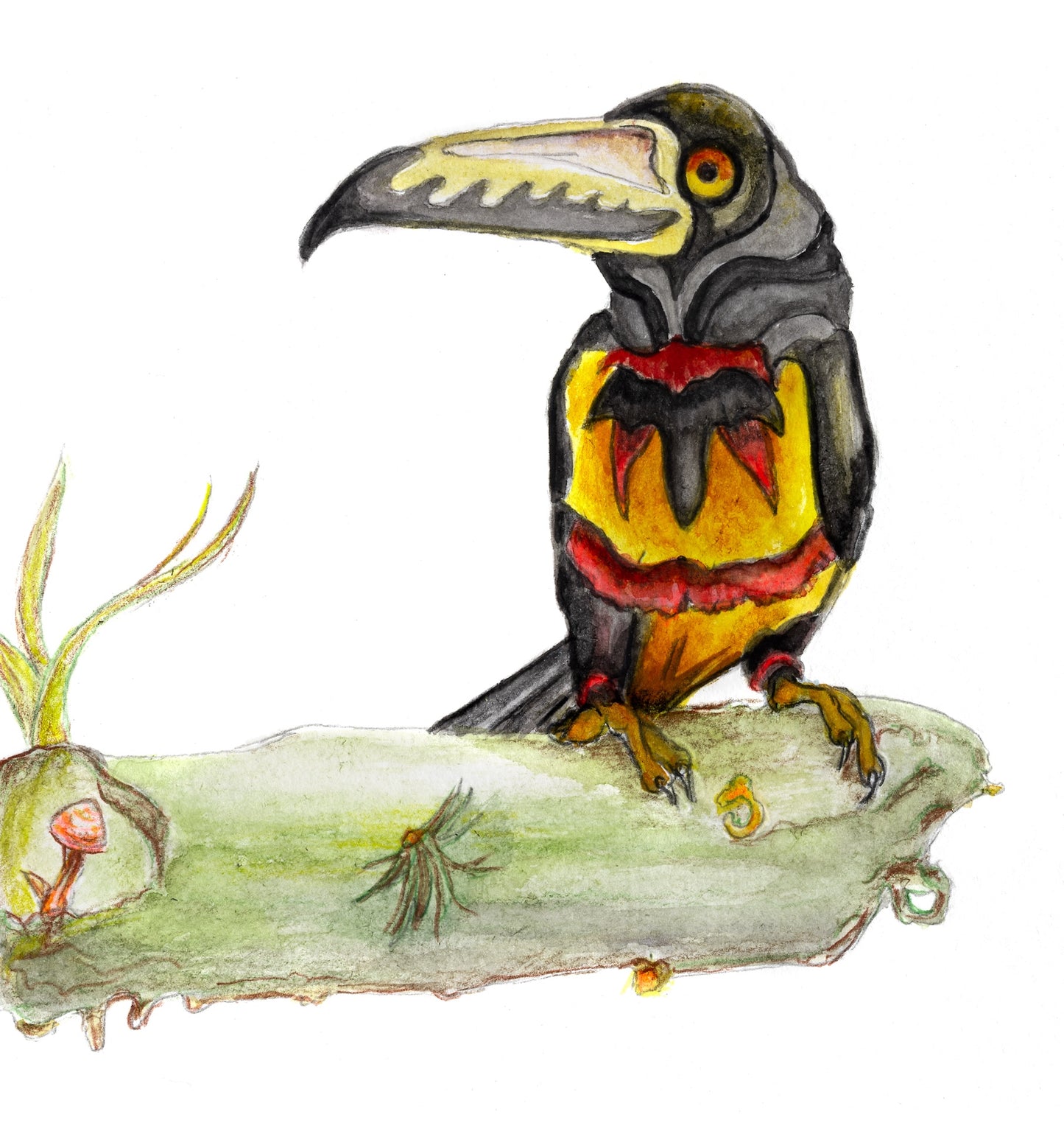 Bird 5